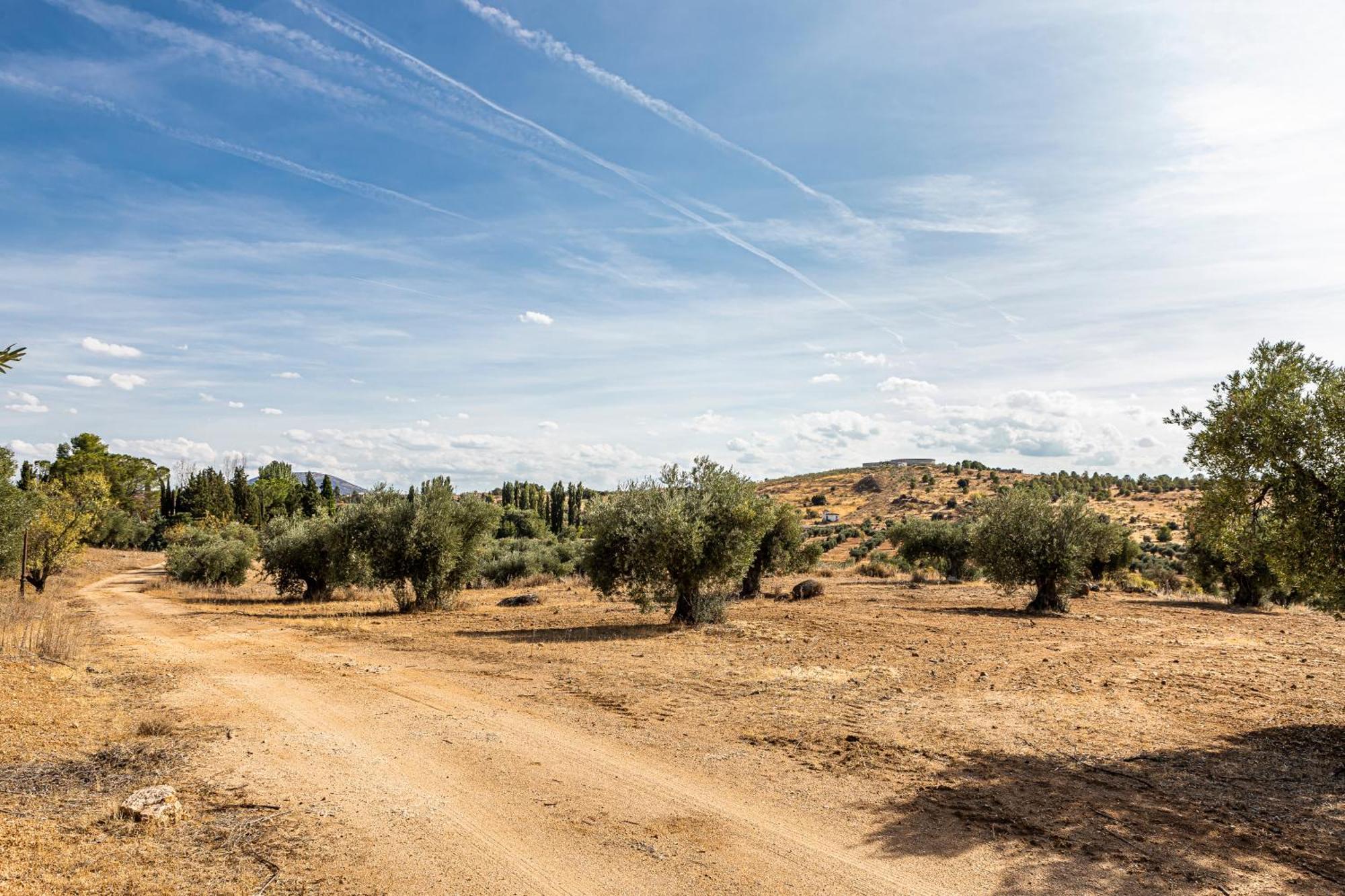 Queens Hacienda Alamedilla Toledo Argés المظهر الخارجي الصورة